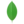MongoDB Atlas logo