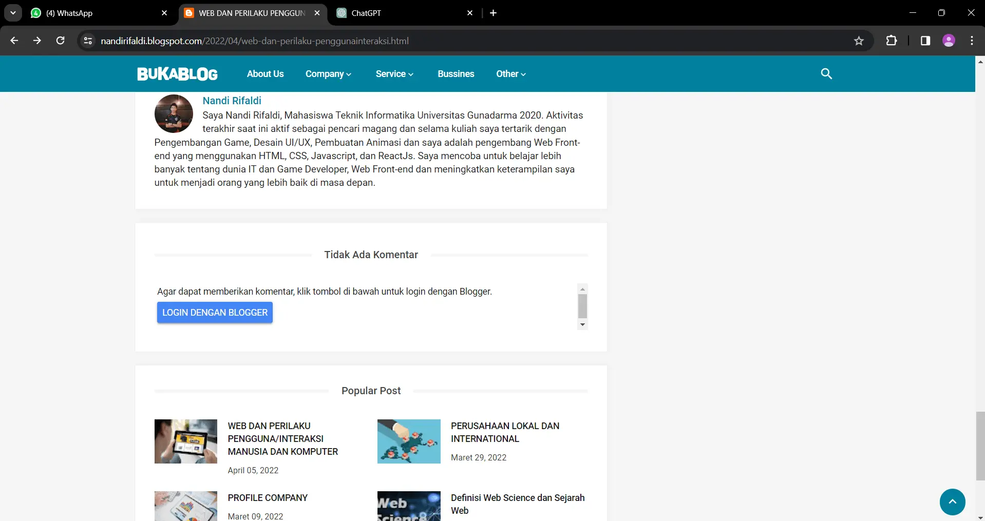 Blogger Website screenshot 6